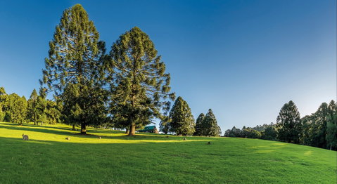 National Parks And Artisan Stories - Tourism Caloundra 0