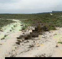Ngarkat Conservation Park - Tourism Caloundra