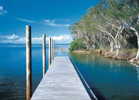 Noosa Everglades - Tourism Caloundra 1