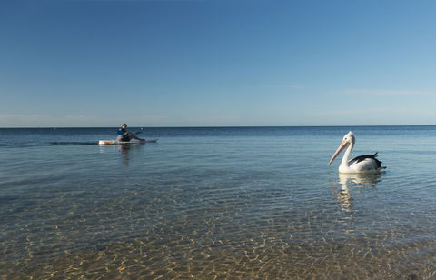 North Beach - Tourism Caloundra 1