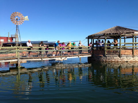 Ocean Park Aquarium - Tourism Caloundra 0