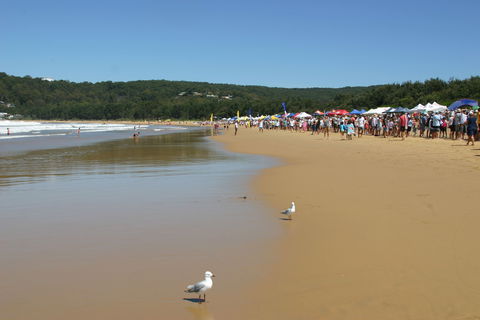 Ocean Beach Umina - Tourism Caloundra 0