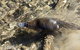Orara River - thumb 1
