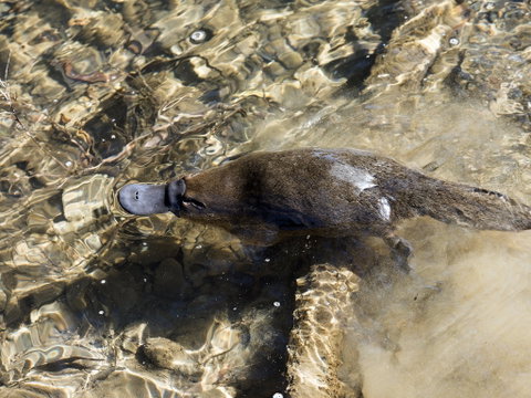 Orara River - Tourism Caloundra 1