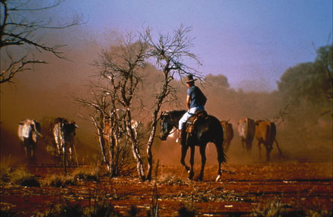Outback Heritage And Coal Adventure - Tourism Caloundra 0