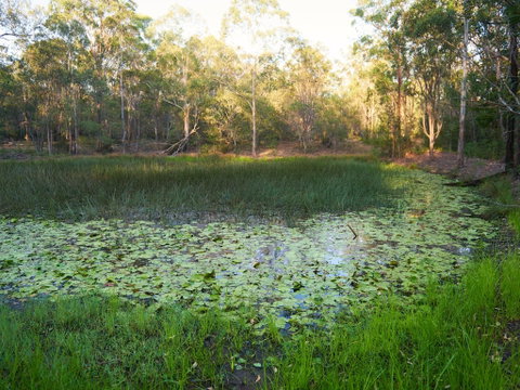 Raysource Road - Tourism Caloundra 2