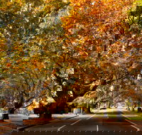 Richmond - Tourism Caloundra