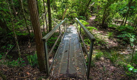 Rocky Crossing Walk - Tourism Caloundra 0