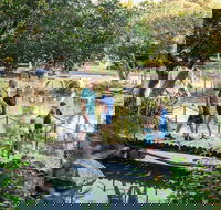 Rockhampton Botanic Gardens - Tourism Caloundra