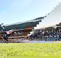Rosehill Gardens Racecourse - Tourism Caloundra