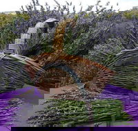 Rustique Lavender Farm - Tourism Caloundra