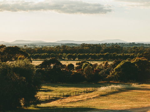 Rutherglen Wine Bottle - Tourism Caloundra 2
