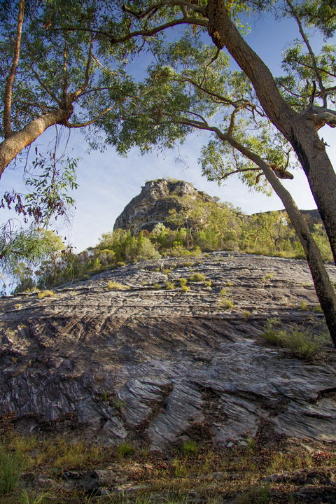 Salvator Rosa, Carnarvon National Park - Tourism Caloundra 1