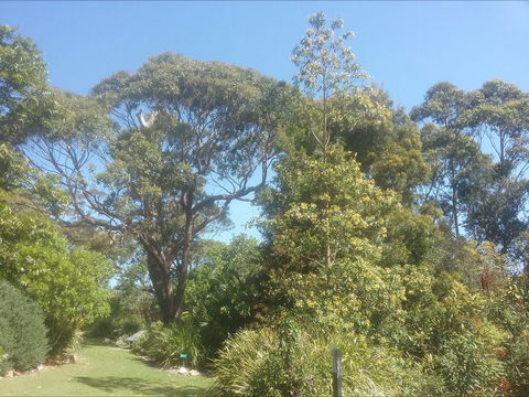 Shoalhaven Heads Native Botanic Garden - Tourism Caloundra 1