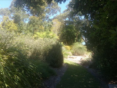 Shoalhaven Heads Native Botanic Garden - Tourism Caloundra 2