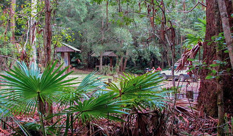 Sugar Creek Picnic Area - Tourism Caloundra 0