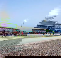 Tabcorp Park - Tourism Caloundra