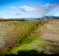 Tarago Truffles - Tourism Caloundra