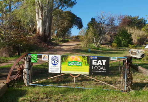 Taralee Orchards - Tourism Caloundra 0