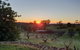 Taralee Orchards - thumb 1
