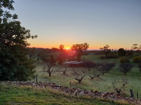 Taralee Orchards - Tourism Caloundra 1