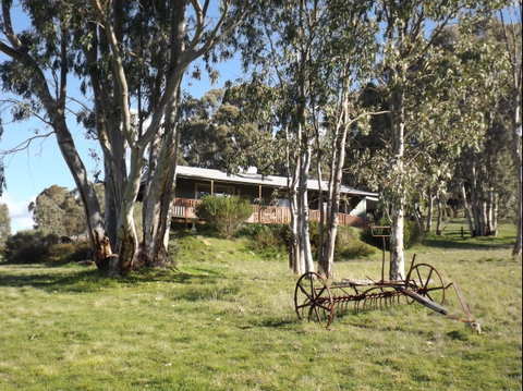 Taralee Orchards - Tourism Caloundra 2