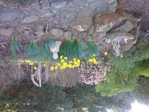 The Quiet Cone - Sound & Relaxation Centre - Tourism Caloundra 2