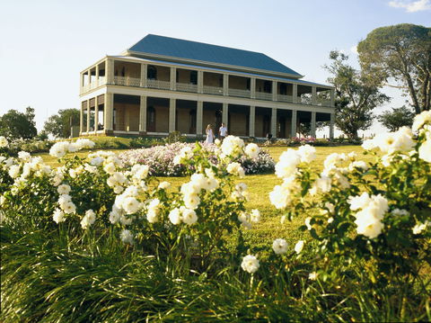 The Cedar Route - Tourism Caloundra 0