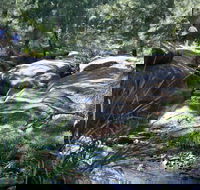 Towarri National Park - Tourism Caloundra