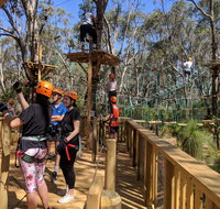 Trees Adventure - Yanchep Park - Tourism Caloundra