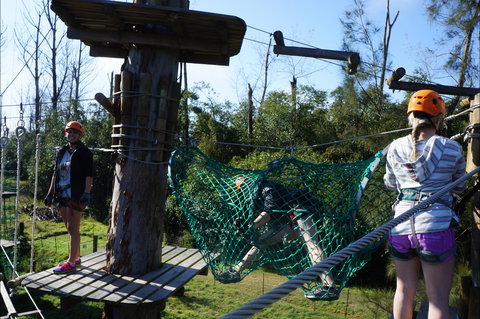 Trees Adventure - Lane Poole Park - Tourism Caloundra 0