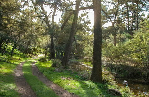 Turon National Park - Tourism Caloundra 0