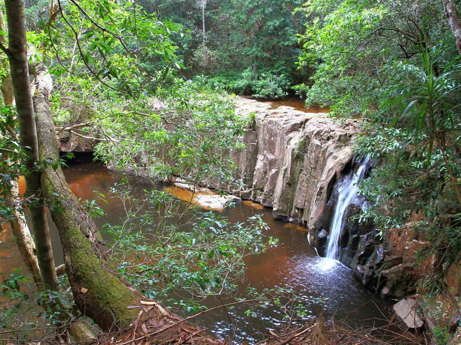 Waitui NSW Tourism Caloundra
