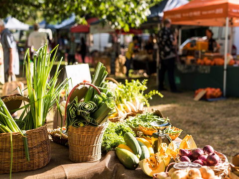 Warragul Farmers Market - Tourism Caloundra 1