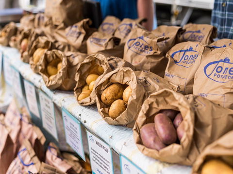 Warragul Farmers Market - Tourism Caloundra 2