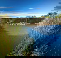 Weir View walking track - Tourism Caloundra