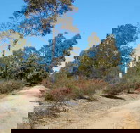 Werakata National Park - Tourism Caloundra