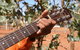 Winanjjikari Music Centre - thumb 1
