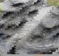 Windara Reef - Tourism Caloundra