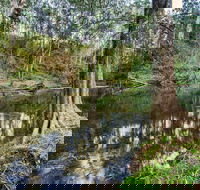 Woko National Park - Tourism Caloundra