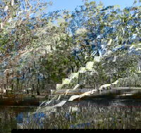 Wongi State Forest - Tourism Caloundra