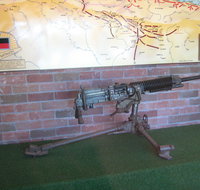 Woodpecker Gun - Tourism Caloundra