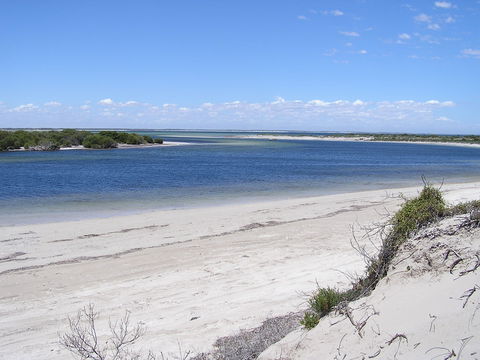 Acraman Creek Conservation Park - Tourism Caloundra 0