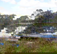Baldwin Swamp Environmental Park - Tourism Caloundra