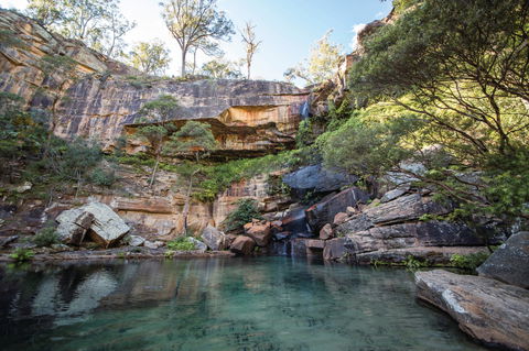 Blackdown Tableland National Park - Tourism Caloundra 1