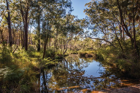 Blackdown Tableland National Park - Tourism Caloundra 2
