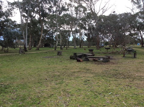Black Cockatoo Bush Camp - Tourism Caloundra 1