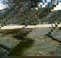 Bombala Platypus Reserve - Tourism Caloundra