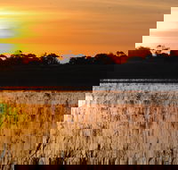 Bool Lagoon Game Reserve and Hacks Lagoon Conservation Park - Tourism Caloundra