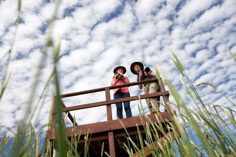 Bool Lagoon Game Reserve And Hacks Lagoon Conservation Park - Tourism Caloundra 1